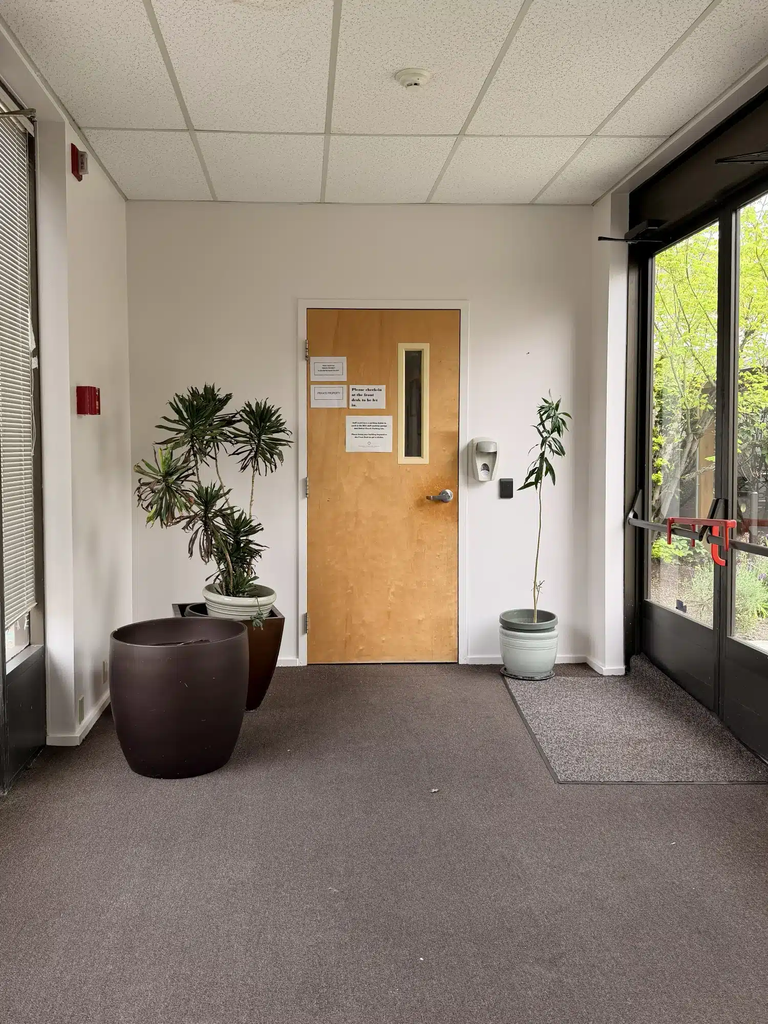 Commercial Interior Hallway Painting Beige-painted commercial interior hallway with drop ceiling, wood door, and gray flooring in Seattle office space.